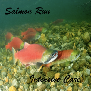 Salmon Run